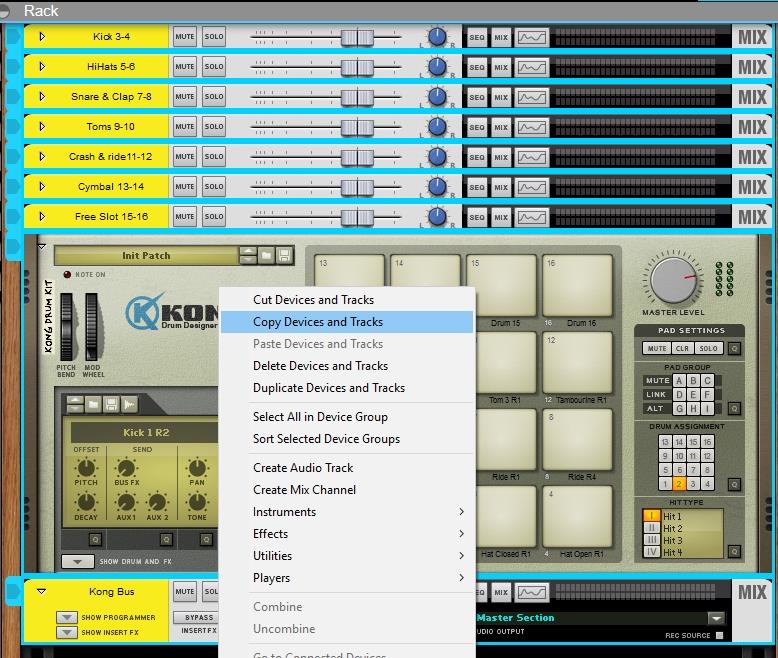 reason duplicate kong device